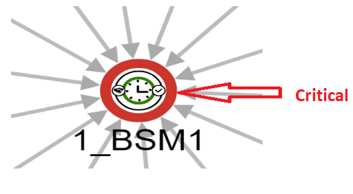 BSM in critical health