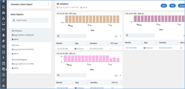 sample basic report