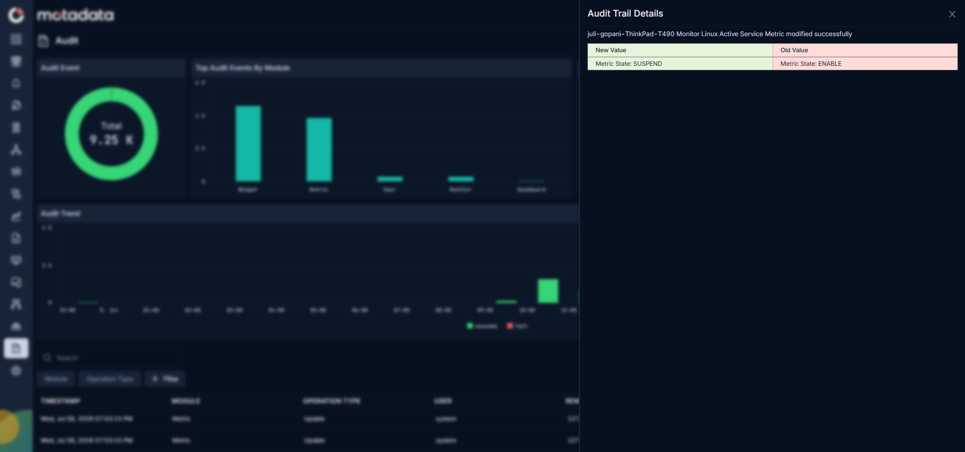 Audit Trail Details panel showing New Value and Old Value columns with a before-and-after comparison