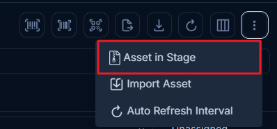Asset In Stage Option
