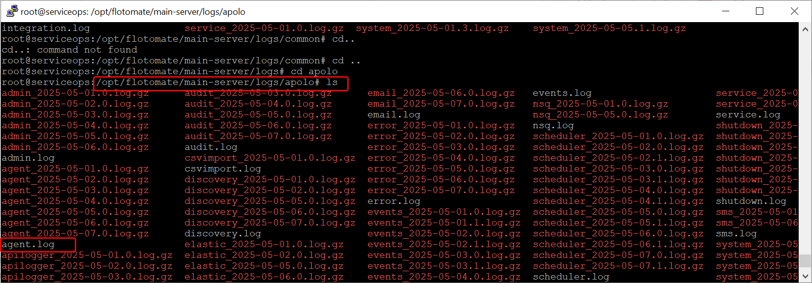Server-side Logs