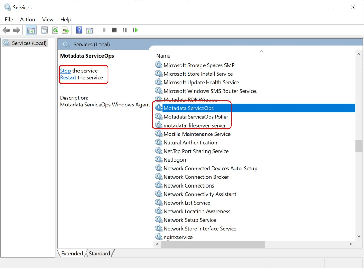 Services Application
