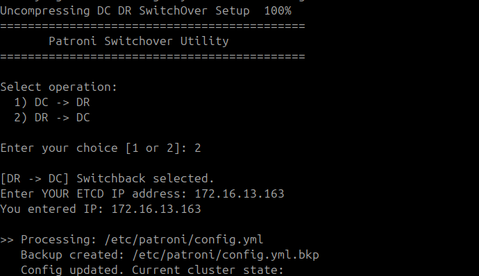 Terminal showing Phase 3.1 config processing with DC ETCD IP 172.16.13.163 and cluster state output