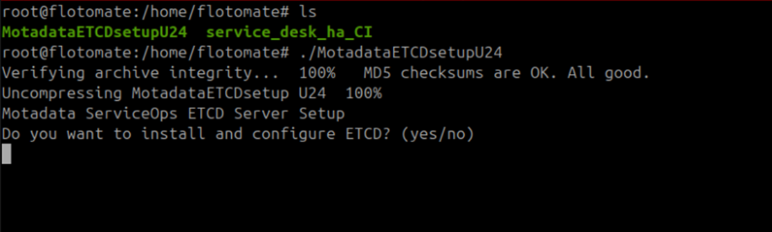 MotadataETCDSetupU24 installer running on the Observer machine and prompting to install ETCD