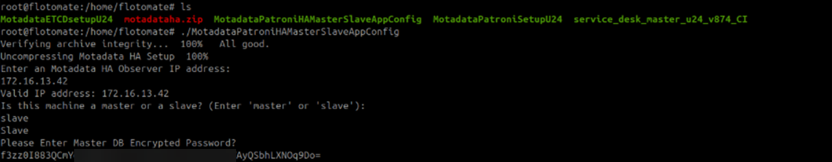 Terminal showing the Master DB encrypted password entry on the Slave application configuration screen