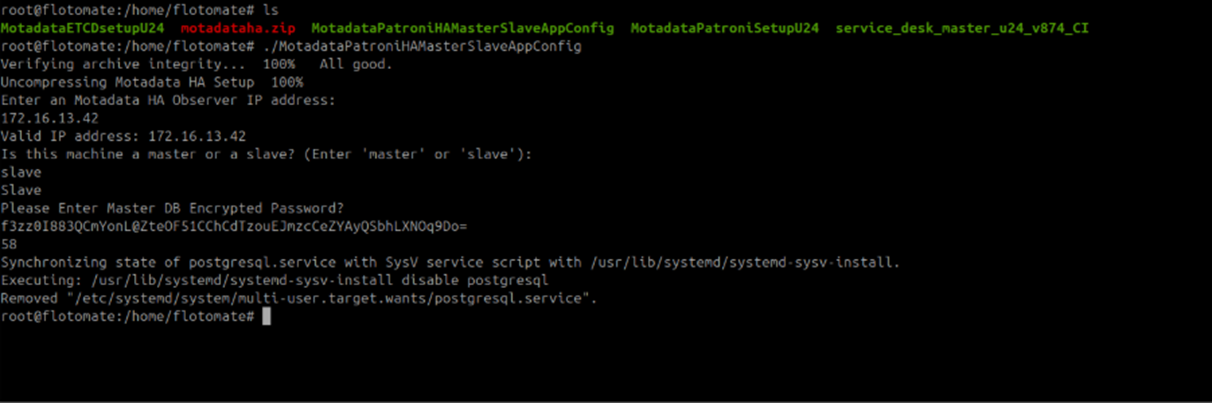 Terminal showing the Master DB encrypted password entry on the Slave application configuration screen