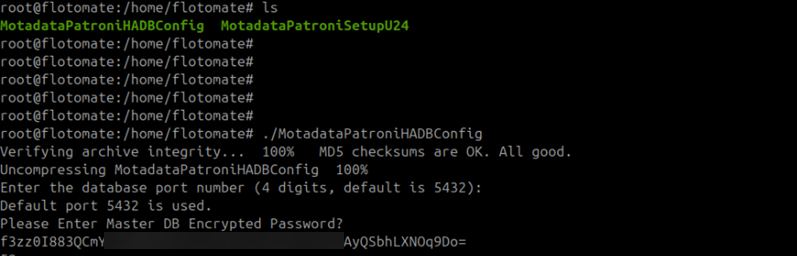 Terminal showing the database password prompt during MotadataPatroniHADBConfig execution on the Master