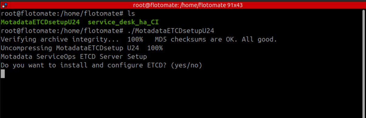 Terminal showing MotadataETCDSetupU24 script executing on the Observer machine