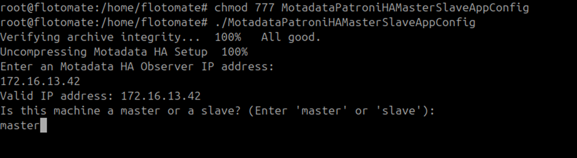 Terminal showing role prompt with master entered for APP 1