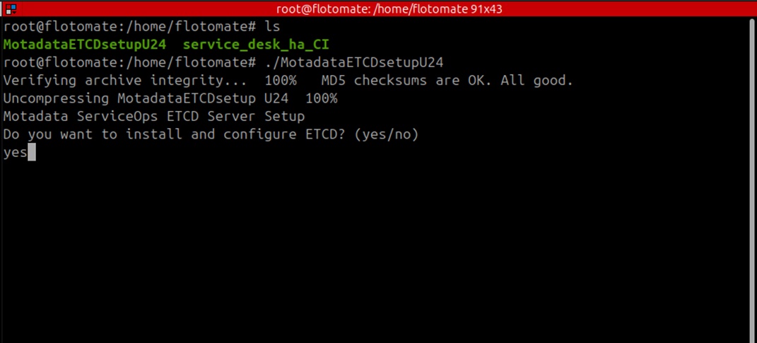 Terminal showing ETCD installation prompt asking to install and configure ETCD