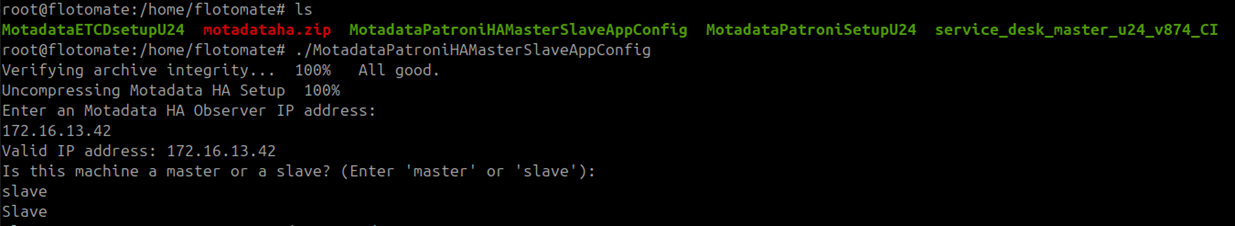 Terminal showing role prompt with slave entered for APP 2
