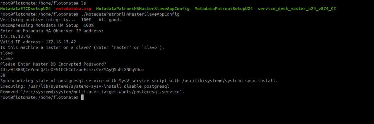 Terminal showing MotadataPatroniHAMasterSlaveAppConfig prompt asking for Master APP DB password