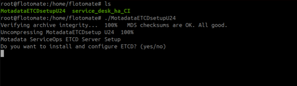 Terminal showing MotadataETCDSetupU24 starting on the DC Observer and prompting to install ETCD