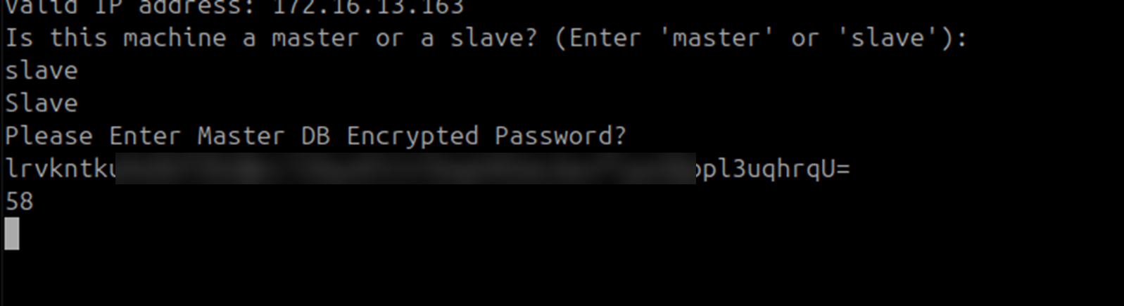 Terminal showing the DC Master DB password entered during DC Slave application configuration