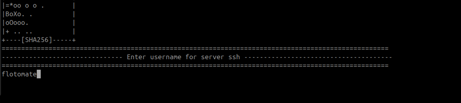 Terminal showing SSH port 22 entered during HA Observer setup on the DC Observer