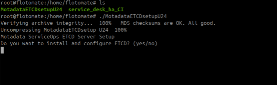 Terminal showing ETCD node 1 entered on the DR Observer