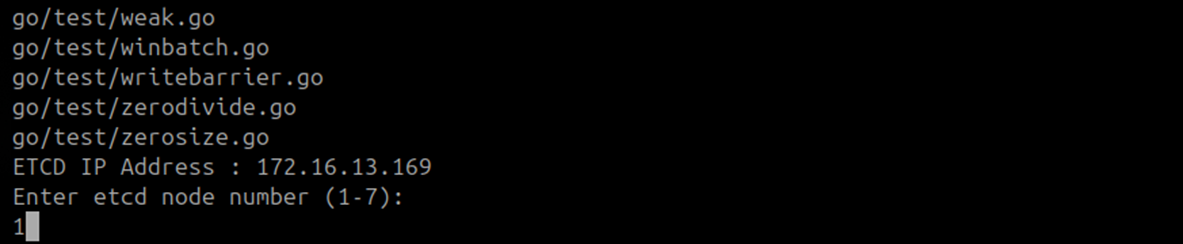 Terminal showing all additional ETCD node IP prompts left blank on the DR Observer