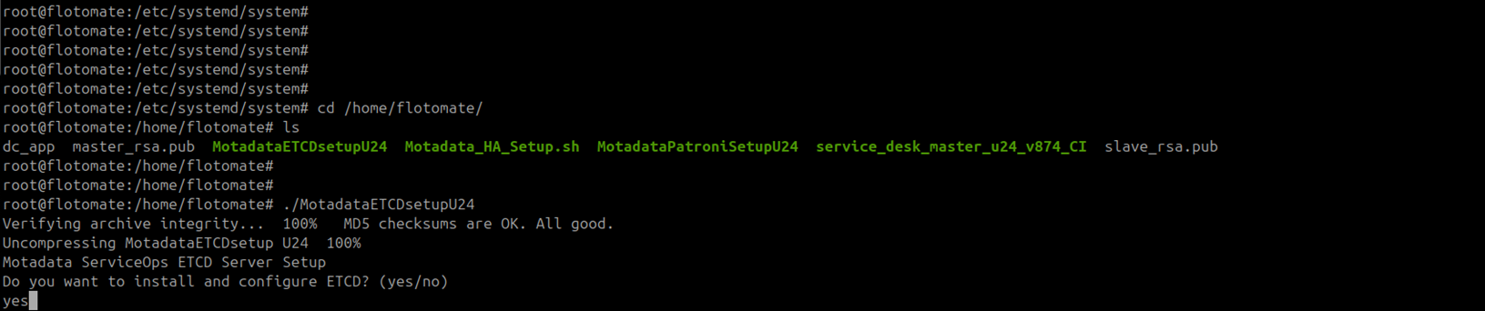 Terminal showing MotadataETCDSetupU24 starting on the DC Master machine