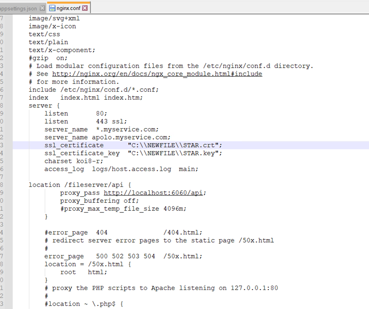 nginx.conf on a Windows file server after SSL configuration, showing the uncommented SSL directives with certificate and key paths using double backslashes