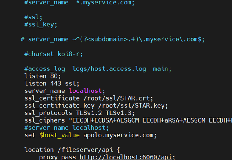 fmt_nginx.conf on a Linux file server after SSL configuration, showing the ssl_certificate and ssl_certificate_key directives with forward-slash paths