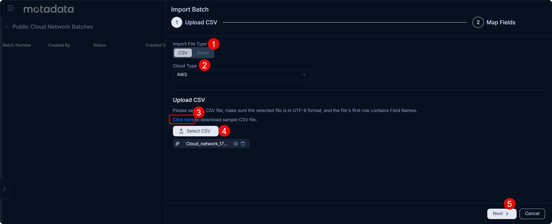 Import Batch panel showing Step 1 Upload CSV with Import File Type, Cloud Type, Upload CSV section, and Next button