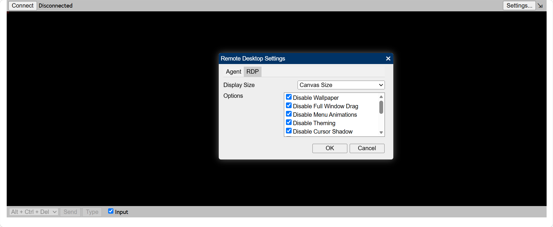 Remote Desktop Settings — RDP tab showing display size and performance options