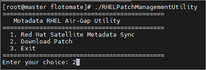 Terminal showing option 2 selected for Download Patch on the Satellite Server