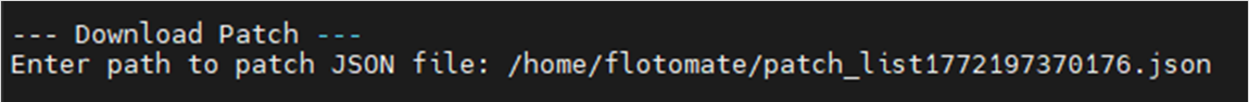 Terminal showing the JSON file path prompt for patch download