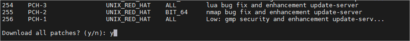 Terminal showing the download all patches confirmation prompt with y entered