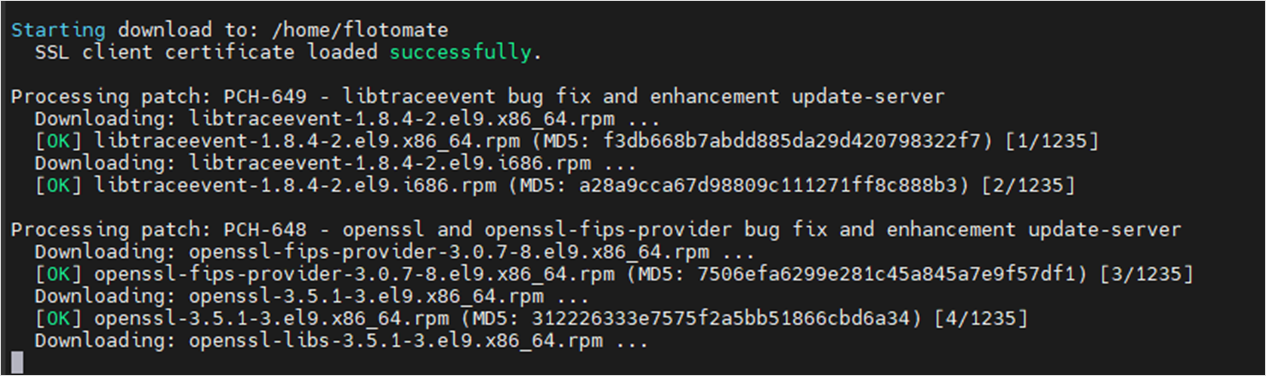 Terminal showing the patch download process in progress on the Satellite Server