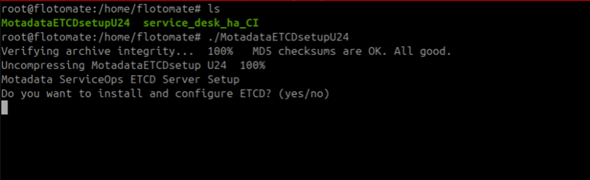 Terminal showing MotadataETCDSetupU24 installer starting on the DC Observer machine