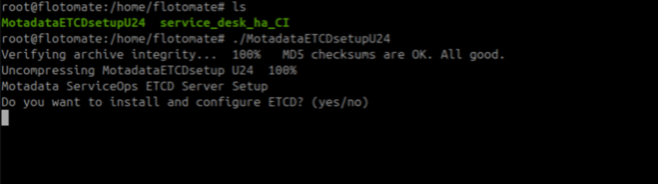 Terminal showing MotadataETCDSetupU24 starting on the DR machine