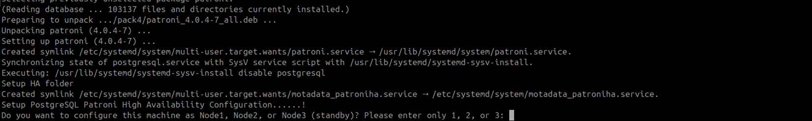 Terminal showing MotadataPatroniSetupU24 starting on the DR machine