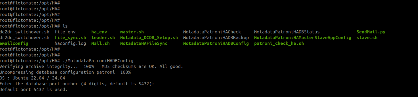 Terminal showing DC Master IP entered as the Server 1 during file sync setup on the DR machine