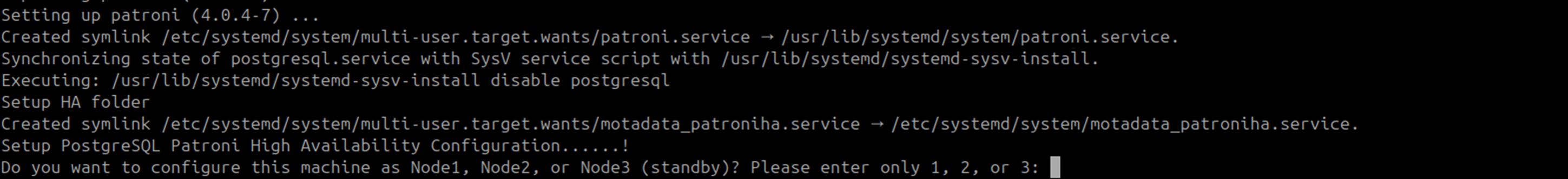 Terminal showing MotadataPatroniSetupU24 starting on the DC Master machine